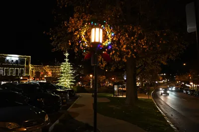 DSC_0031 (Large).JPG